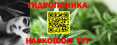 шишки Конаково