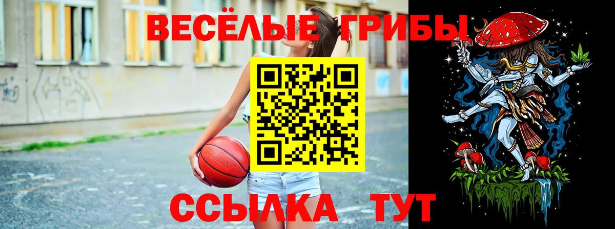 Галлюциногенные грибы Psilocybine cubensis  Вход с VPN  где купить наркотик  Ялуторовск 